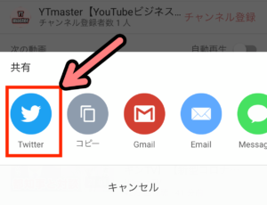 Youtubeをツイッターとリンクさせる方法 再生回数upのコツ Ytmaster Youtubeビジネス講座